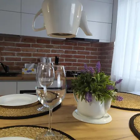 Casa Cu Ceainice Apartment *
